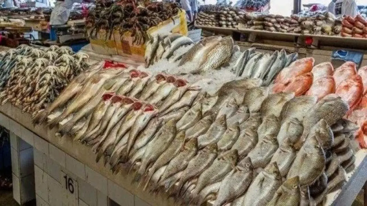 أسعار الأسماك اليوم الجمعة 19 ديسمبر 2025 تتراوح: الجمبري يواصل ارتفاعه إلى 1200 جنيه